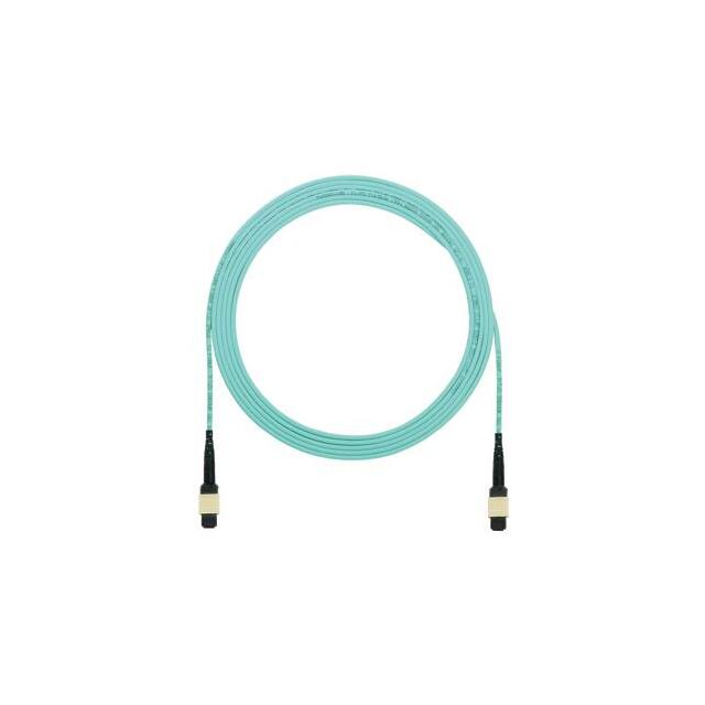 FZTRP5N5NANF099